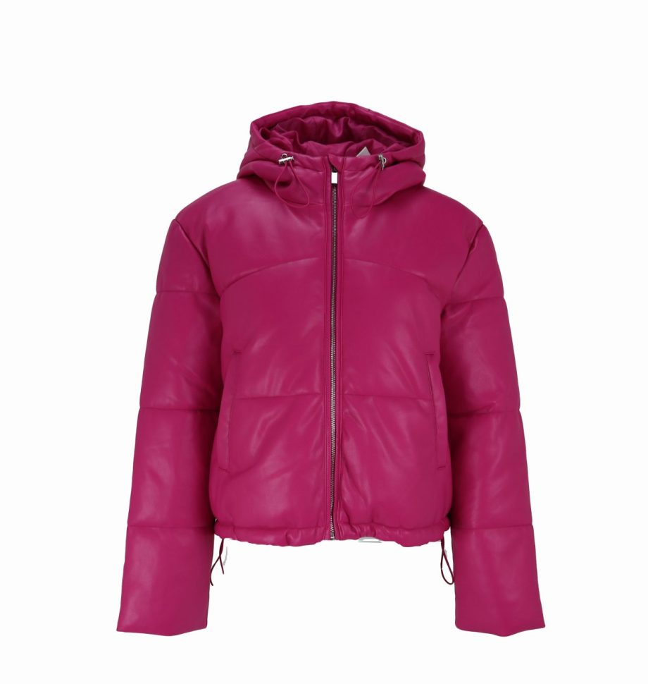 Review Shiny Puffer