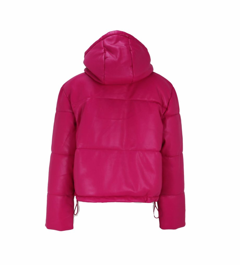 Review Shiny Puffer