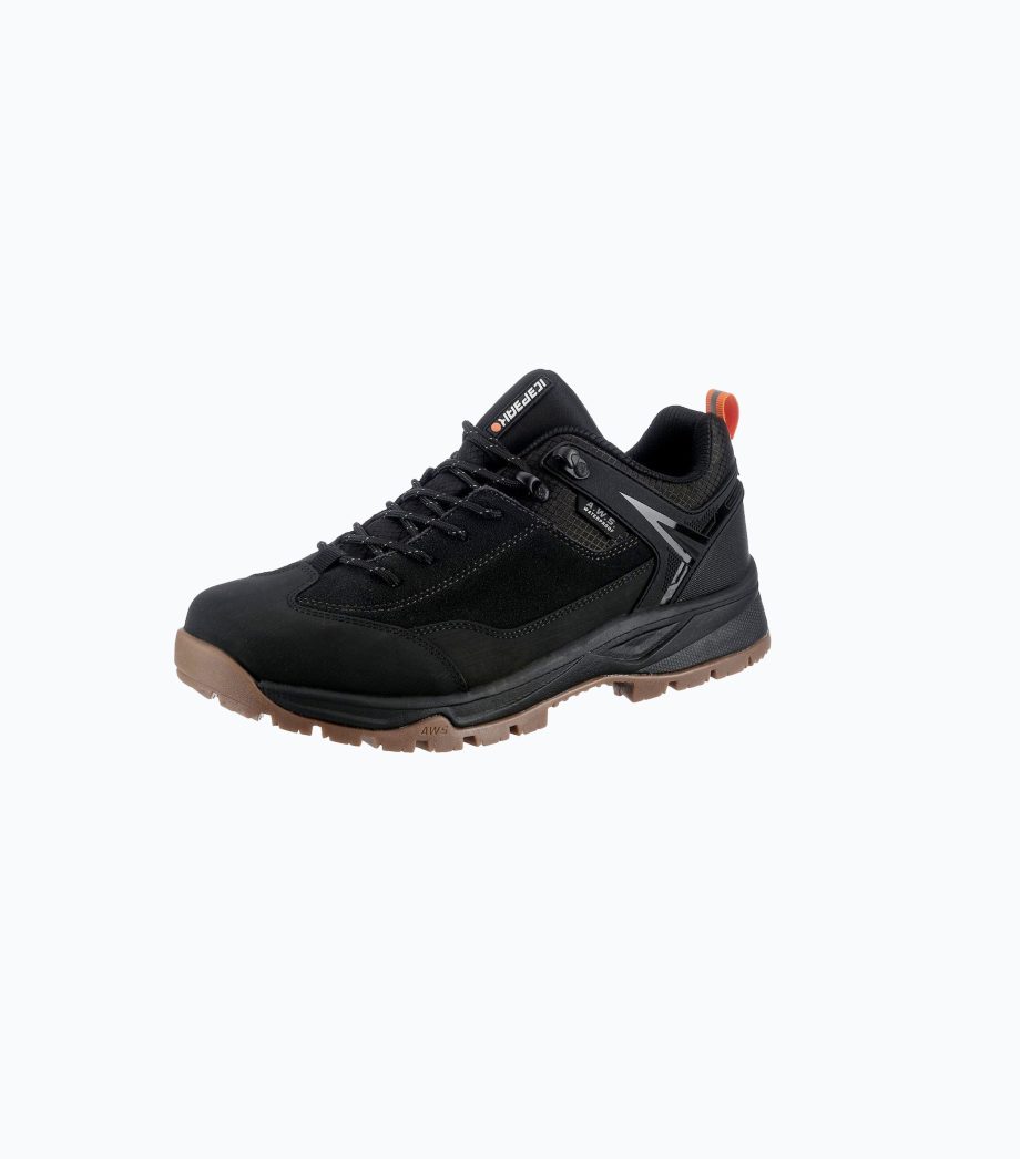 ICEPEAK